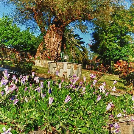 Apartment Anna Kontokali